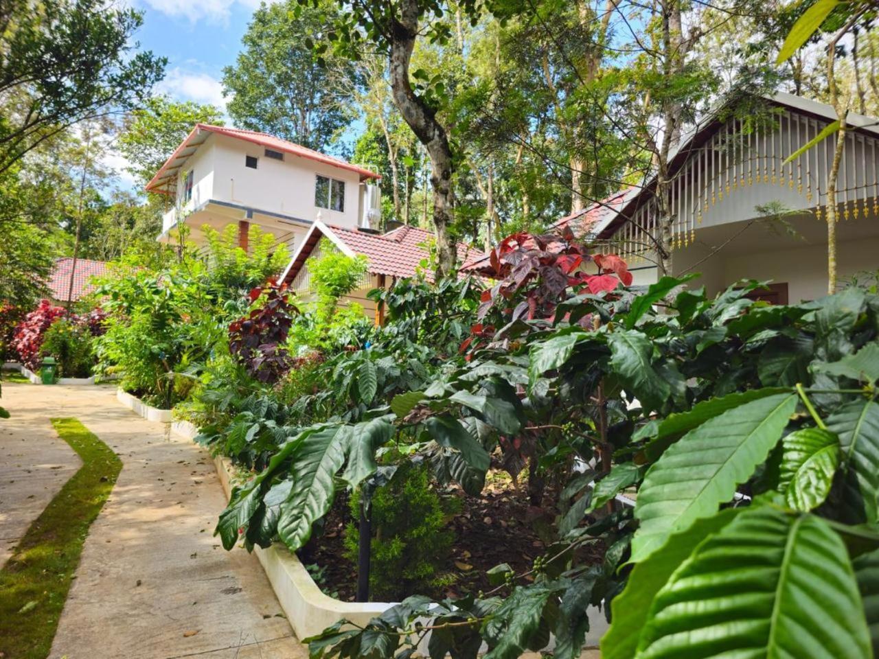 Coorg Orange Blossom Resort And Spa Suntikoppa Екстер'єр фото