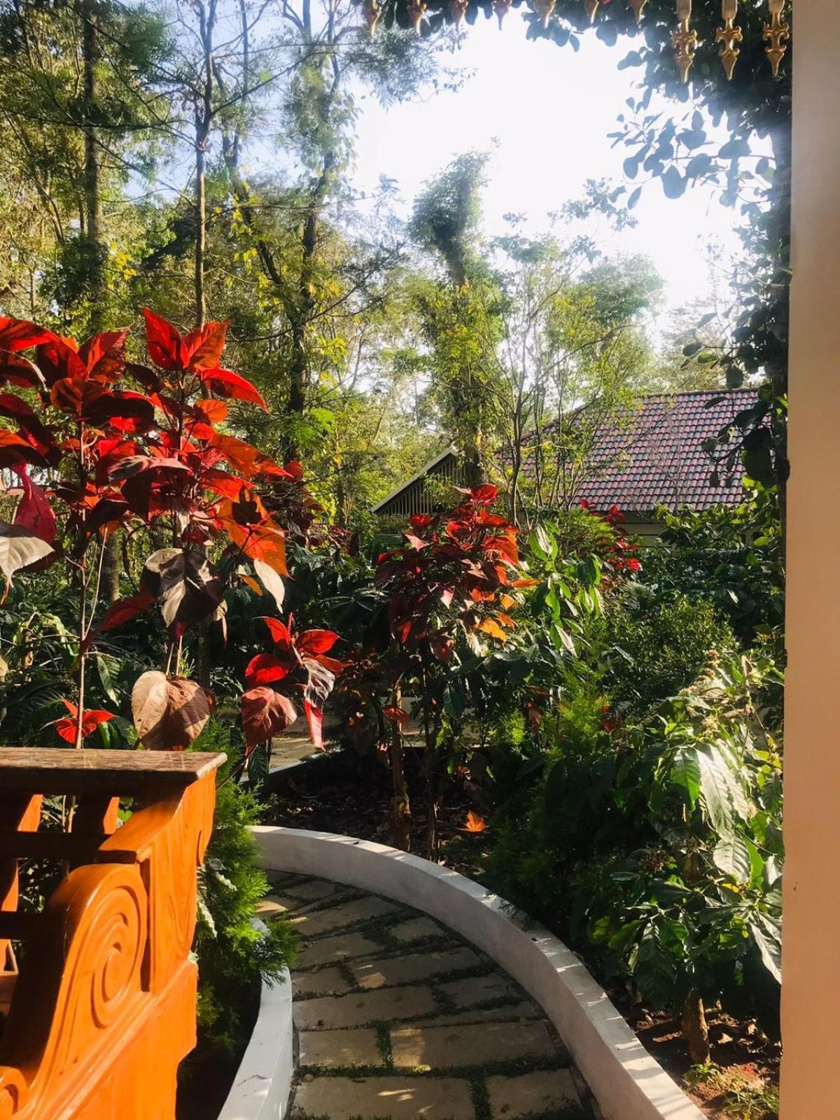 Coorg Orange Blossom Resort And Spa Suntikoppa Екстер'єр фото